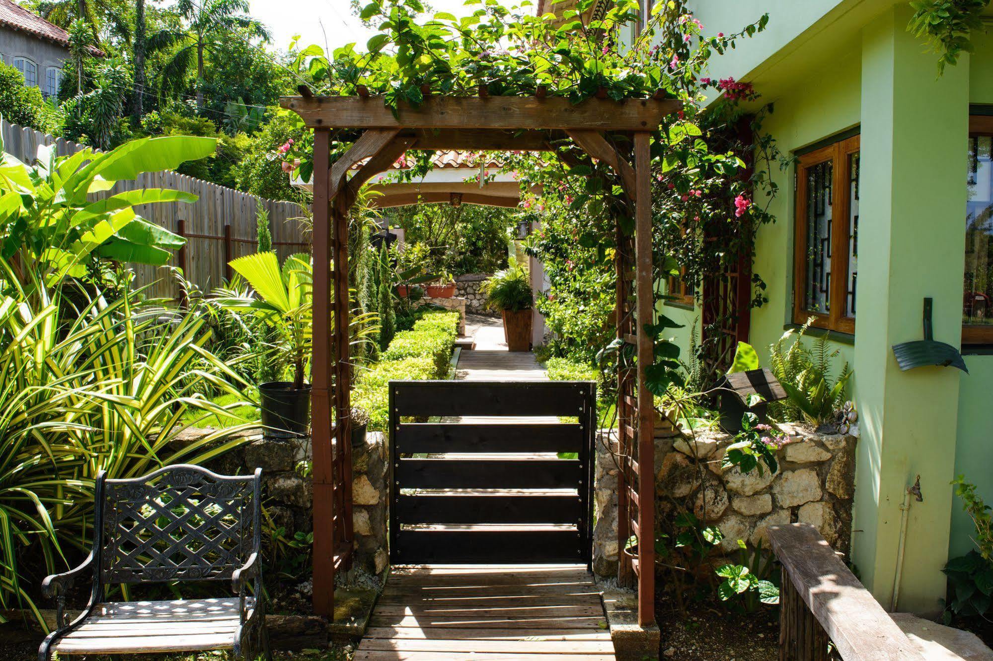 مونتيغو باي Mynt Retreat Bed & Breakfast المظهر الخارجي الصورة